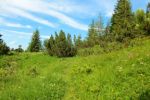 2014-07-05_Laengental-N-Hochweg (655). JPG